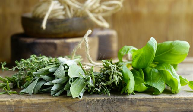 La scienza degli ingredienti funzionali: salvia e basilico